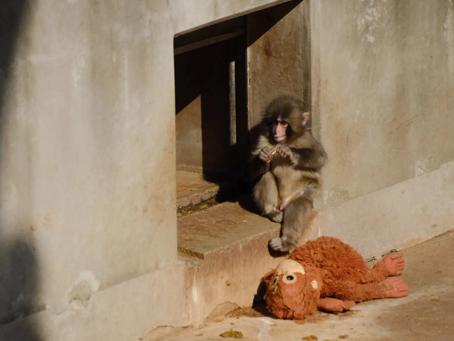 Morning at the sanctuary