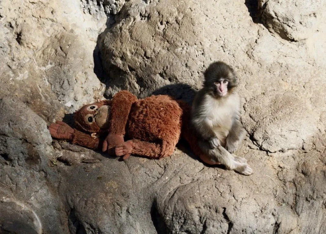 Punch with his plushie